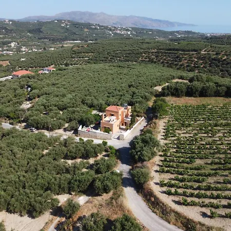 Greco Platanés